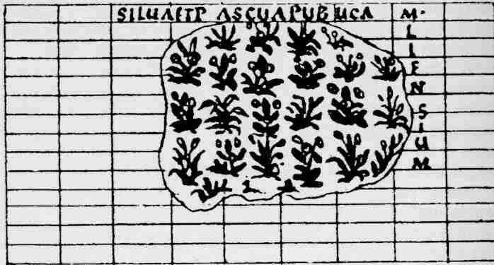 Arp silua et pascua.JPG